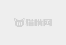 CascadiaHex：显示16进制数据用的工具字体-猫啃网